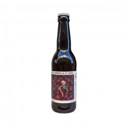 Avalanche De Myrtille et Cerise  Brasserie Flore  5.4°  Bière Sure  Sour Ale - La Plante Du Loup