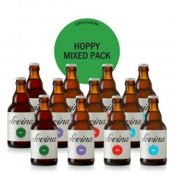 Hoppy Mixed Pack - Cerveja Artesanal