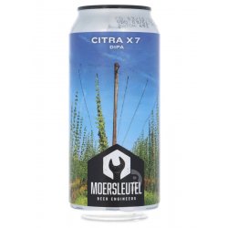 Moersleutel - Citra X7 - Beerdome