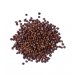Grains of Paradise - 100g Grains of Paradise - 100g