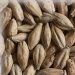 Malta Pilsen 2Row KG Malta Pilsen 2Row KG