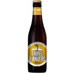 DE KONINCK - TRIPLE D'ANVERS - Belgian Triple 33cl - Buscador de Cervezas - Brewhouse