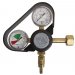 Protector para regulador de Co2 Taprite 