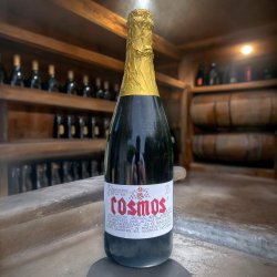 De Dolle Cosmos 2015 75cl - Cantina Brassicola Digitale