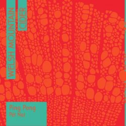 Welsh Mountain Cider Ping Pong Pet Nat