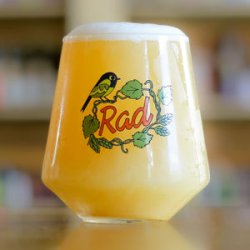 RAD x Matt Sewell Harmony Glass - Radbeer