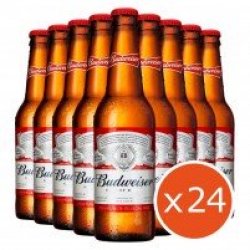 Budweiser - Yo pongo el hielo