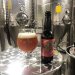Brasserie de la Pieuvre Ambrée au sarrasin  0.33L 