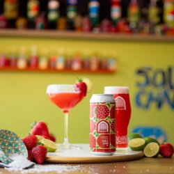 Vault City - Strawberry Margarita Gose - 3% Table Sour - 440ml Can - The Triangle