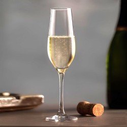 ⭐ Copa de cava Fénix de Schott Zwiesel de 24,4 cl  Cave Vinum - Cavevinum