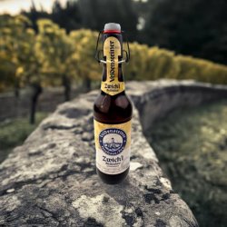 Veldensteiner Zwickl Kellerbier - Bierzwerg