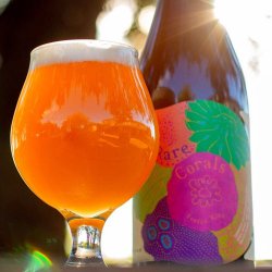 Jester King Rare Corals Farmhouse Ale #3 750ml (5.3%) - Indiebeer