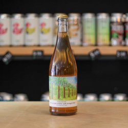 Ross On Wye Shall We Take Another Walk Through Time - The Hop Vault