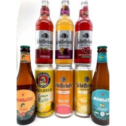 FRUITY FLAVOURS BEER  16 PACK - Great Grog