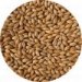 Crisp Extra Pale Maris Otter Malt (extra světlý slad) 