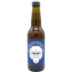 Brausyndikat Pale Ale 5,9% Vol. 24 x 33 cl EW Flasche - Pepillo