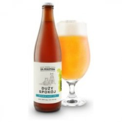 ZA MIASTEM DUŻY SPOKÓJ Double Hazy Ipa - Sklep Impuls