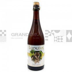 Lupulus Blonde Lupulus Blonde