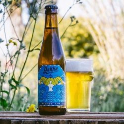 Cervezas Yakka Blonde