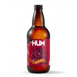 Hum Irish Red Ale botella 500 cc - Birrava