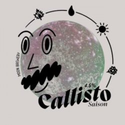 Moon Callisto - The Independent