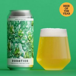 Duration Brewing Turtles All the Way Down
