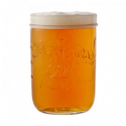 Lagunitas 473ml Glass - The Beer Cellar