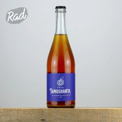 Pilton Cider Tamoshanta
