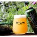 Wylam x Northern Monk - Shades Of Green, IPA, 6.5% Wylam x Northern Monk - Shades Of Green, IPA, 6.5%