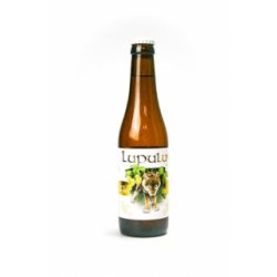 Lupulus Blonde Tripel - Acedrinks