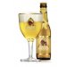 Steenbrugge Blond       24 x 33 cl 