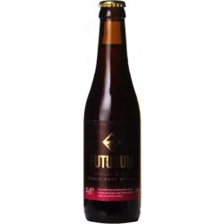 De Toekomst Futurum Barley Wine Single Malt Whisky Infused - Mister Hop