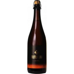 De Toekomst Futurum Tripel 75cl - Mister Hop