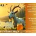 Brasserie Noktua Brama Pale Ale chèvre miel 2  0.33L 