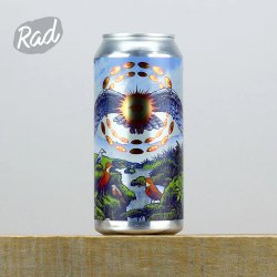 Northern Monk PATRONS PROJECT 47.04 // STEVEN YOYADA // HEATHEN SOUNDS // DIN OF CELESTIAL BIRDS // BELGIAN GOLDEN ALE