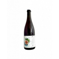 Ammonite - Vinifera X Grenache (2021) 75 cl - Bieronomy