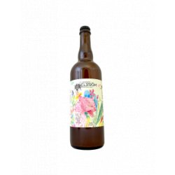 Maelström - Take It Hazy (Pale Ale) 75 cl - Bieronomy