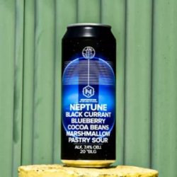 Nepomucen Neptune  Pastry Sour - Sklep Impuls