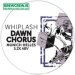 Whiplash - Dawn Chorus - Helles Lager - 5.1% ABV, 30l Keg (53 Pints) Whiplash - Dawn Chorus - Helles Lager - 5.1% ABV, 30l Keg (53 Pints)