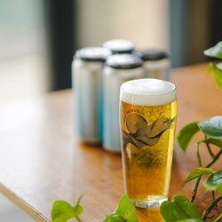 Track Brewing Ultimate Lager Mixed 6-Pack - Track Brewing Co.