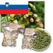 Styrian Goldings (Celeia) 2024 3,9% (100g500g) 