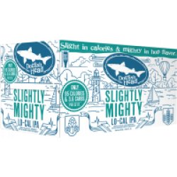 Dogfish Head Slightly Mighty IPA 12oz 6pk Cn - Luekens Wine & Spirits