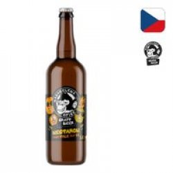 Nachmelená Opice Nectaron Hazy Pale Ale 13 Nachmelená Opice Nectaron Hazy Pale Ale 13