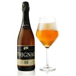 Kasteel Trignac XII