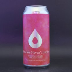 Pollys Brew Co - What We Haven’t Got Yet - 6.2% (440ml) - Ghost Whale