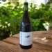 Cuvée Pépins Fermentation mixte bio au carignan 75cl (7,2%) - Sacrilège Cuvée Pépins Fermentation mixte bio au carignan 75cl (7,2%) - Sacrilège