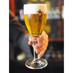 Brugse Zot 20cl, 33cl and 50cl - Beer Glass Enthusiast