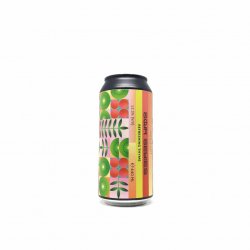 Horizont Sour Series Refreshing Thyme 0,44L - Beerselection