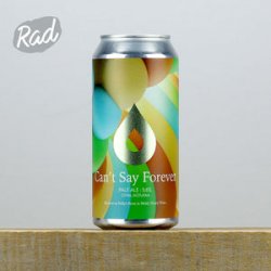 Pollys Cant Say Forever - Radbeer