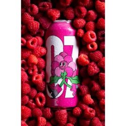 Farnham Ale & Lager Sour Aux Framboises